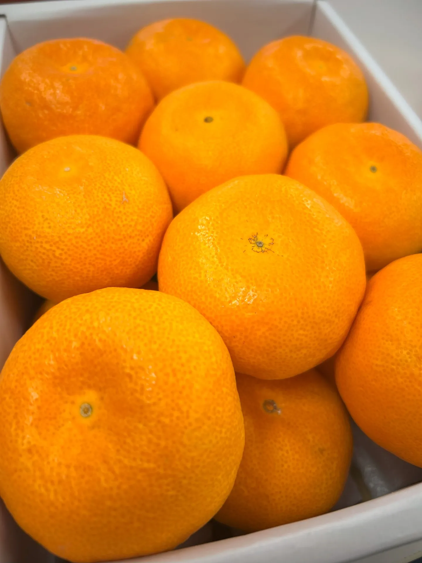 御中元いただいちゃいました～